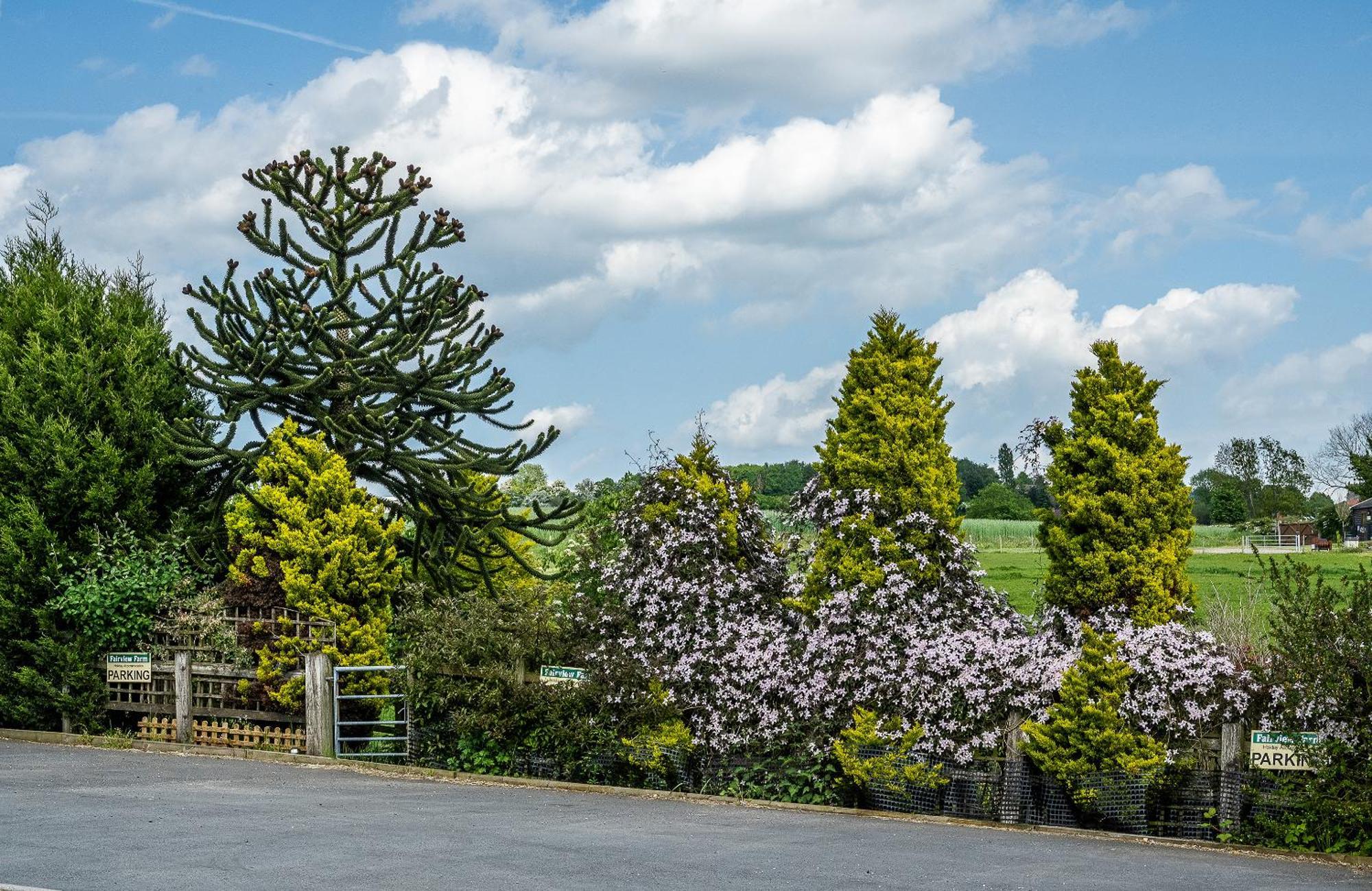 Upside Down House - Sleeps Up To 6 Guests - Great For Family And Friends Gatherings,Corporate Events ,Near Sherwood Forest At Fairview Farm In Nottingham Set In 88 Acres Екстериор снимка